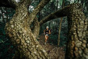 BIB: 
                            <button type="button" onclick="openModal(25669616)" class="btn btn-primary btn-sm float-right btn-popup" data-toggle="modal" data-target=".modal-high-quality">
                        <i class="fas fa-shopping-cart"></i> Add to Cart
                    </button>
                                            <button type="button" onclick="isThisMe(25669616, true)" class="btn btn-success btn-sm float-right btn-popup btn-isme hidden" data-toggle="tooltip" data-placement="bottom" title="นี่คือรูปของคุณใช่ไหม คลิกที่นี่เพื่อเอาเข้าอัลบั้ม">
                        <i class="fas fa-plus"></i> Add to album
                    </button>
                    <button type="button" onclick="isThisMe(25669616, false)" class="btn btn-warning btn-sm float-right btn-popup btn-isnotme hidden">
                        <i class="fas fa-ban"></i> Remove from album
                    </button>